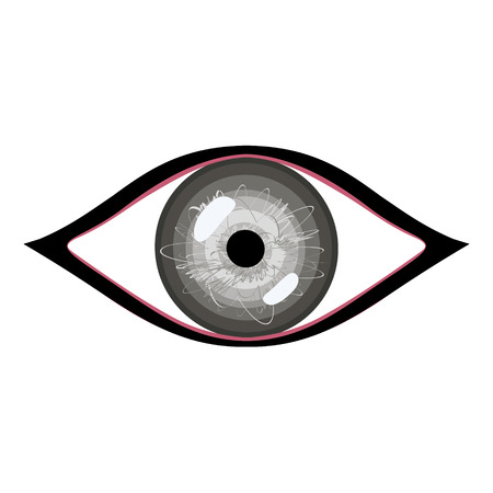 Vector illustration of human eye. Stylized grey eye with glaresのイラスト素材
