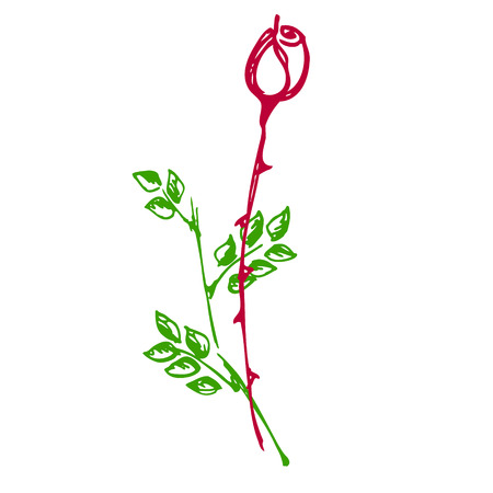 Seamless vector pattern, background with branches with leaves on the white backdrop. Hand sketch drawing. Imitation of ink drawing.のイラスト素材