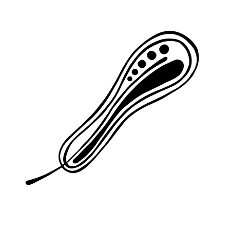 Vector hand drawn illustration, decorative ornamental stylized feather. Black and white graphic illustration isolated on the white background. Inc drawing silhouette.のイラスト素材