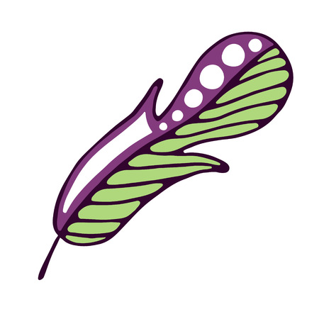 Vector hand drawn illustration, decorative ornamental stylized feather. Colorful  graphic illustration isolated on the white background. Inc drawing silhouette.のイラスト素材