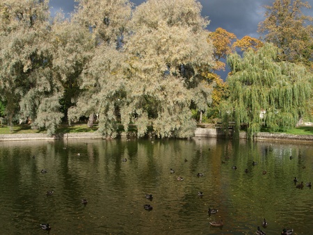 kadriorgの写真素材