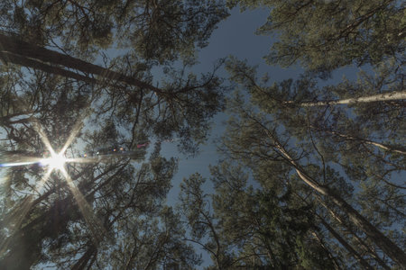 Estonian nature