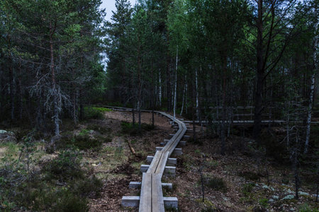 Estonian nature