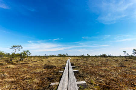 Estonian natureの写真素材