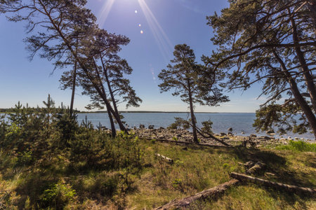 Estonian nature