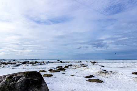 Estonian nature