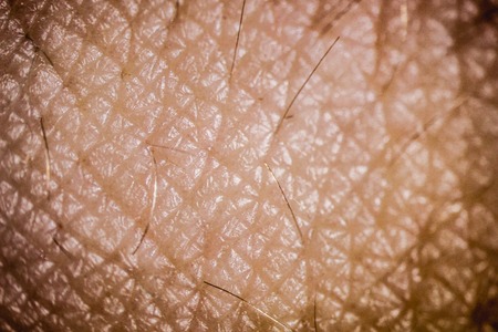 Macro view of the humans skin in the darkness, selective focusgの写真素材