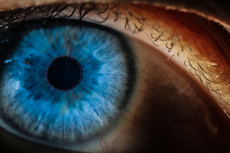 An enlarged image of eye with a blue iris, eyelashes and sclera. the shot is made by a slit lamp with a built-in cameraの写真素材