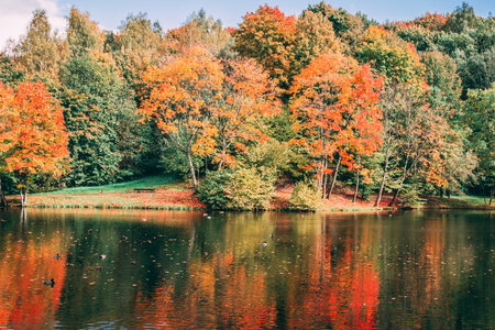 Autumn colorful forest reflected in the lake.の写真素材