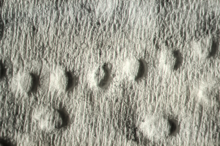 texture. enlarged with a slit lamp paper tissue for handsの写真素材