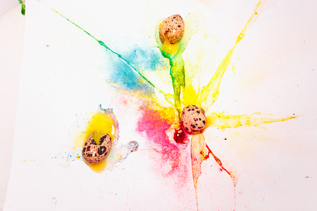 three broken quail eggs on a background of bright blue and yellow colours on a white background. colored powder. easter concept.の写真素材