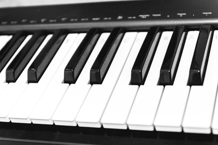 Black and white piano keys, side view. The concept of music.の写真素材