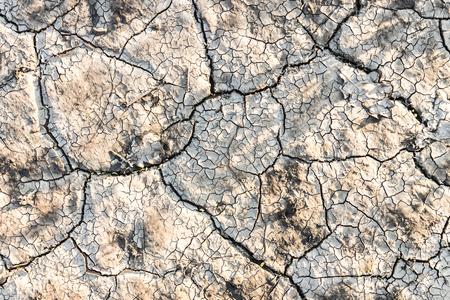 Texture of the dried up cracked earth in the summer. The concept of drought and the absence of rain.の写真素材