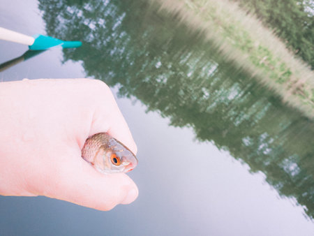 A small fish caught in a fishing trapped in a mans hand against a lake