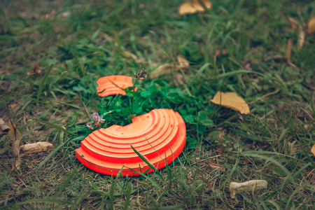broken orange flying plate lying on the grassの写真素材