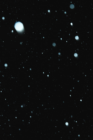 Flakes of snow falling on a black background. Isolatedの写真素材