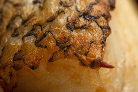 Wild grilled sea bass fillet with skin close up macroの写真素材