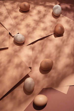 Regular chicken eggs with plant shadowsの写真素材