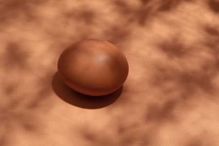 Regular chicken eggs brow with plant shadowの写真素材