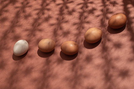 Regular chicken eggs from store on pinkish paper background with shadows from flower