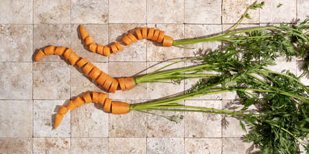 Bunch of fresh carrot roots with green leaves on stone tales of earth tones top view. Healthy eating and dieting food concept.の写真素材