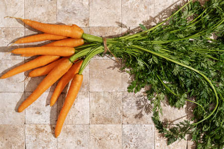 Bunch of fresh carrot roots with green leaves on stone tales of earth tones top view. Healthy eating and dieting food concept.の写真素材