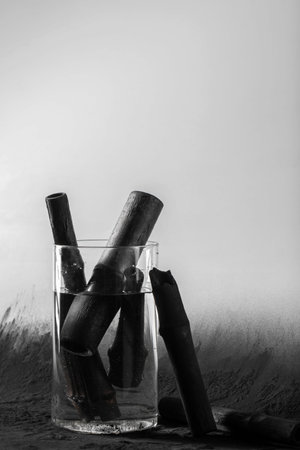 Bamboo charcoal  sticks in glass with water on coal powder black background.Powerful water purifierの写真素材