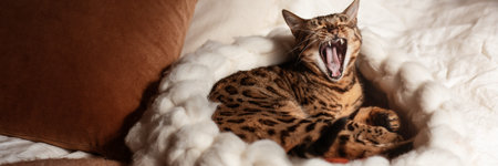 Bengal cat resting in merino wool round pet lounge in creamy and terracotta rust tones