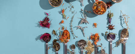 Assortment of dried relaxing tea herbs in spoons on blue background. Calendula, mint, anise hyssop, monarda didyma, wormwood, sage leaves.の素材 [FY310173994564]