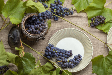 Bunches of blue imperfect garden grapes with leaves in vintage silver vaseの写真素材