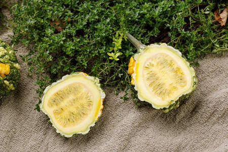 Decorative small pumpkins on green fresh thyme backgroundの写真素材