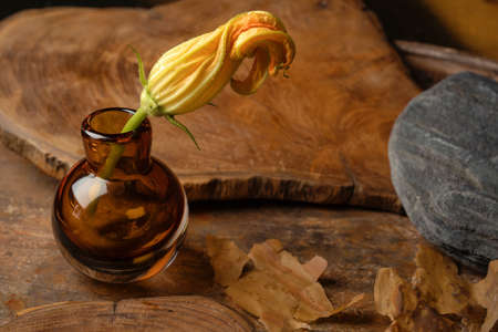 Zucchini yellow flowers on solid wood cutting board, tree bark on rust background.の写真素材