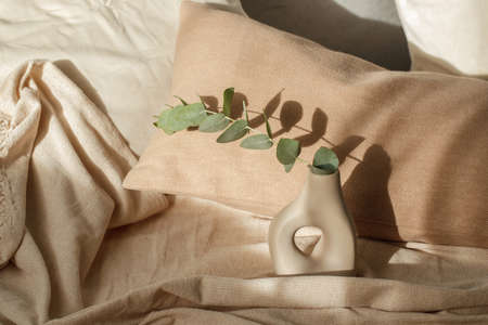 Dried eucalyptus leaves  in a small Scandinavian stylegeometrical beige vase in bedroom interiorの写真素材