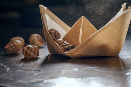 Snails in paper boat on metal restaurant kitchen tableの写真素材