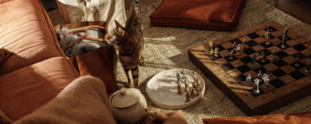 Ancient metal Roman Chess Set with silver and gold plated pieces on solid oak wood Board. Concept image for business strategy, competition, relaxation, recreation and mental agility.の写真素材