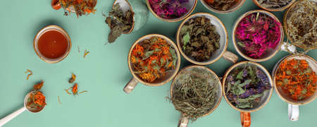 Assortment of dried relaxing tea herbs in colourful cups on mint green background with honey. Calendula, mint, anise hyssop, monarda didyma, wormwood, sage leaves.の写真素材
