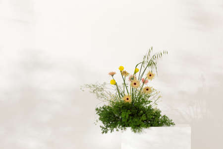 Early Spring floral arrangement bouquet of fresh flowers against white wall. The concept of inspiration, congratulations, spring season, studio flower decoration.の写真素材