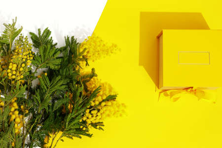 Bright yellow gift box with ribbon bow, mimosa on yellow and white background top view copy space. Birthday present, March 8, Mothers Day, Valentines Day, Easter or spring concept.の写真素材