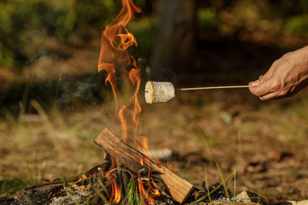 Roasting marshmallow on skewer over the bonfire. The concept of adventure, travel, tourism and...