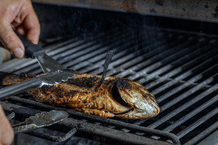 process of grilling whole Sea Bream fish on a barbecue grill over hot coal. Grilled Doradoの写真素材