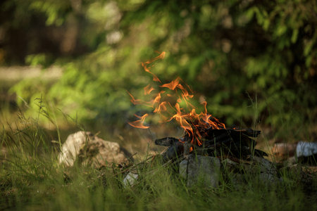Close up of burning timber bonfire in summer forest.The concept of adventure, travel, tourism, camping, survival and evacuation.の写真素材