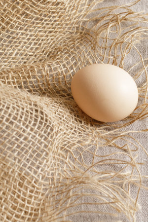 Fresh organic chicken egg on a sacking.の写真素材