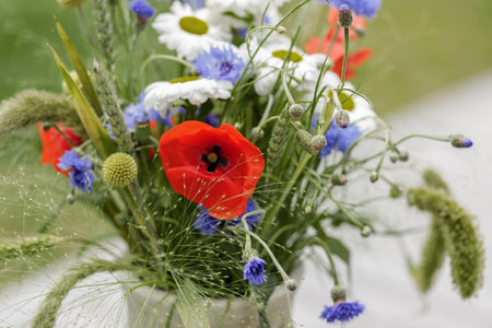 Wild flower bouquet (Cornflowers, chamomiles wheat and poppies) in terracotta vase. Wildflower and grass varieties.の写真素材