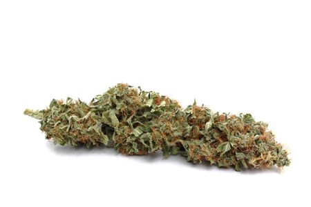 Medical marijuana ( cannabis ) bud covered in trichomes up close on a white isolated backgroundの写真素材