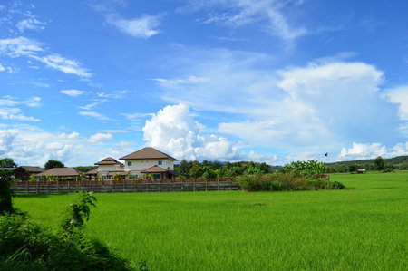 House view Thailand styleの写真素材