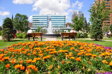 An urban park in Calgary on a summer day のeditorial素材