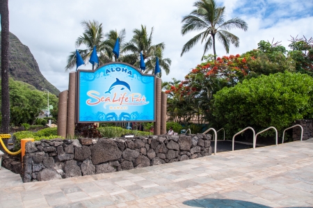 OAHU HAWAII - JUNE 26: Views of the Sea Life Park on June 26, 2013 on the windward side of Oahu. The Sea Life Park is a popular aquarium destination where kids swim with dolphins.のeditorial素材