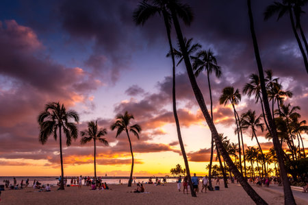 OAHU, HI - JUNE 26 -Waikiki Beach at the Hawaiian Hilton Village at sunset on June 26, 2013  People visible on beach  The Hawaiian Hilton Village is very popular with families traveling to Hawaii  のeditorial素材