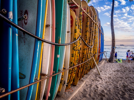 Surf board lines up on Waikiki beach at sunset on April 27, 2014 in Honolulu, USA  Waikiki beach is neighborhood of Honolulu, best known for white sand and surfing  のeditorial素材