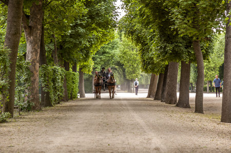 Beautiful view of famous Schonbrunn Palace with Great Parterre garden in Vienna, Austriaのeditorial素材